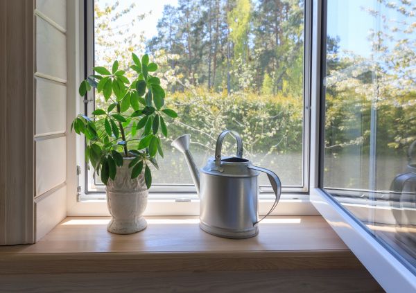 Cost of Garden Window Repair in Marana